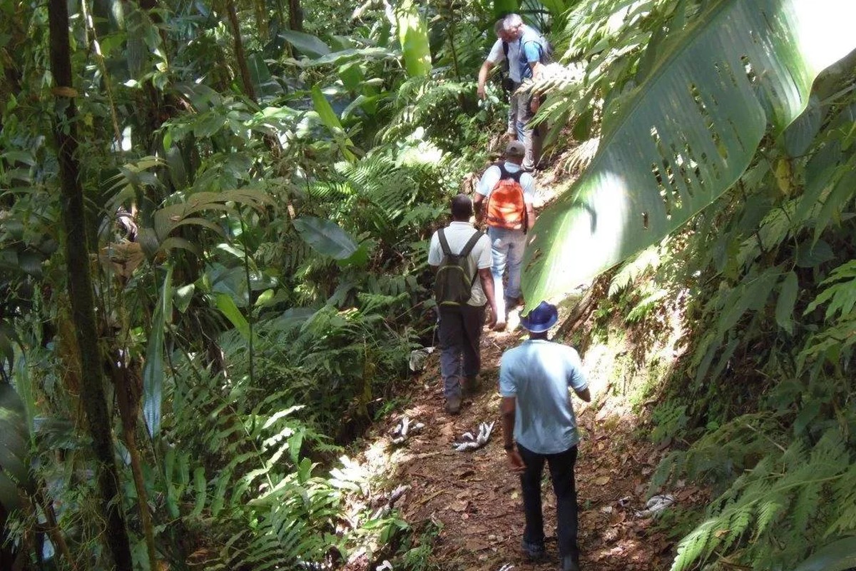 Randonnée en Martinique